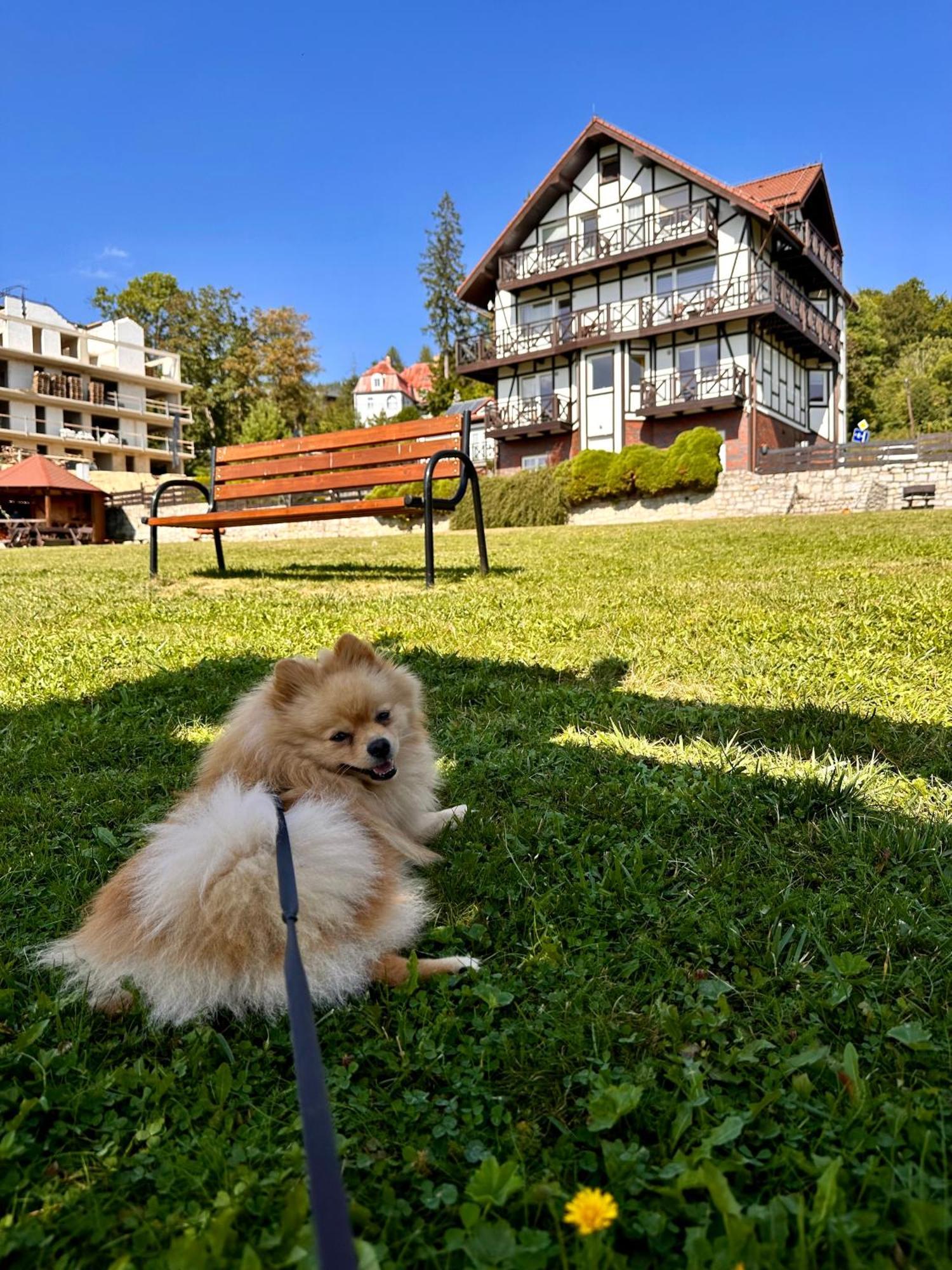 U Jozka Daire Szklarska Poreba Dış mekan fotoğraf